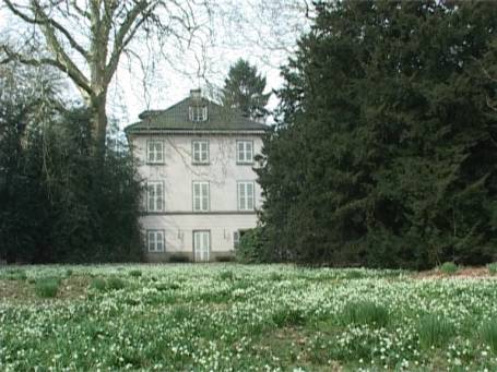 Museum Insel Hombroich : Märzenbecherblüte im Frühjahr